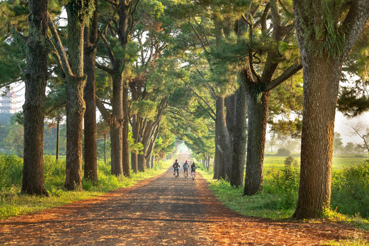 Bike Tours: A cycling maniac’s dream come true...