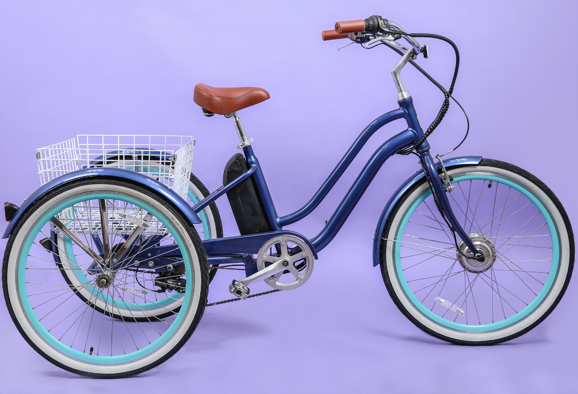 EVRYjourney Electric Trike 250W