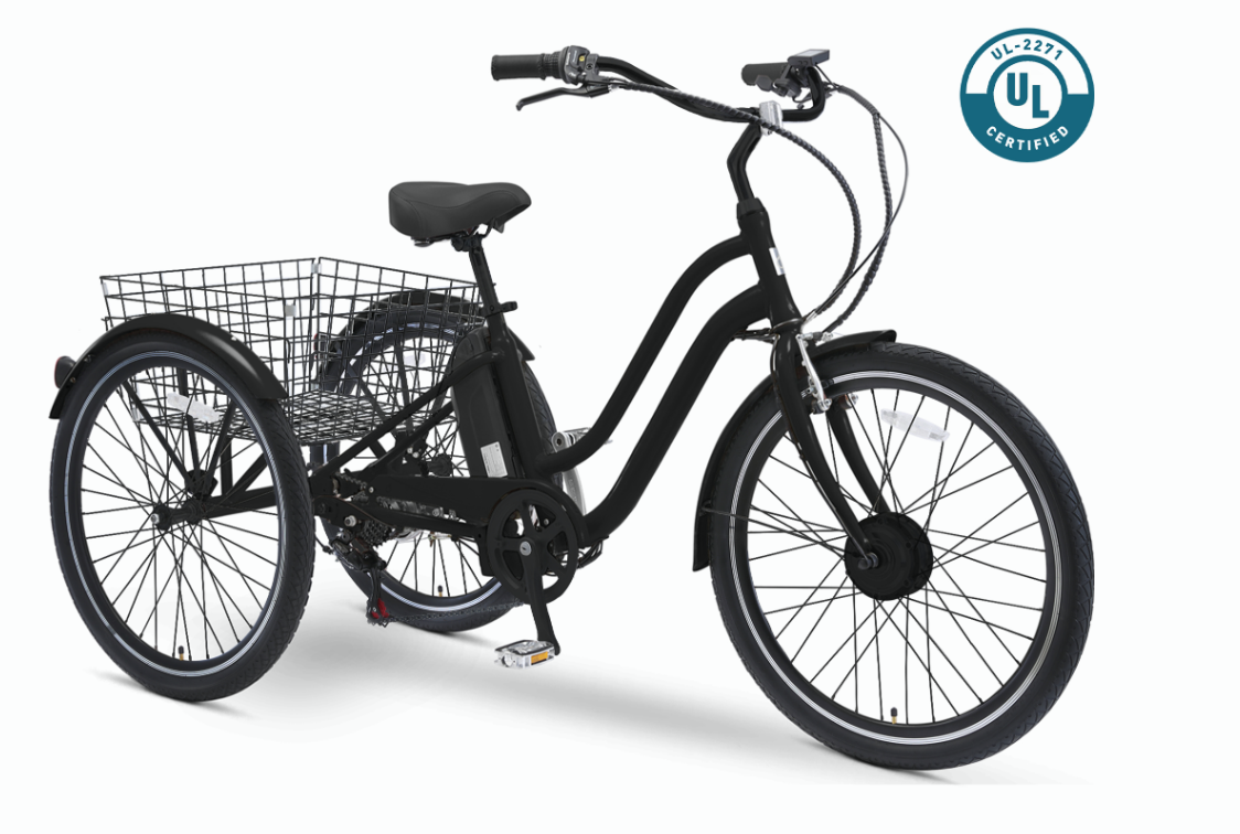 EVRYjourney Electric Trike 250W
