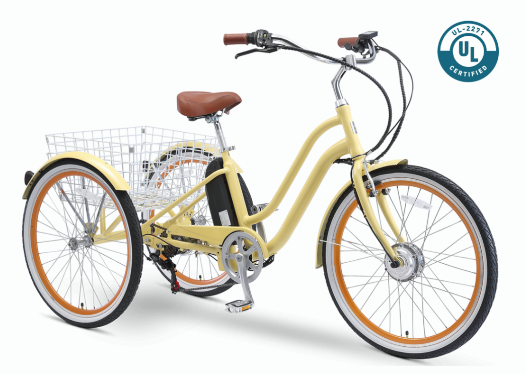 EVRYjourney Electric Trike 250W
