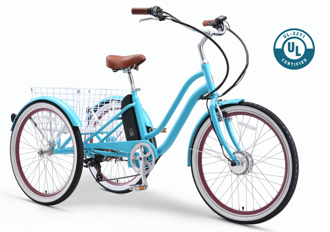 EVRYjourney Electric Trike 250W