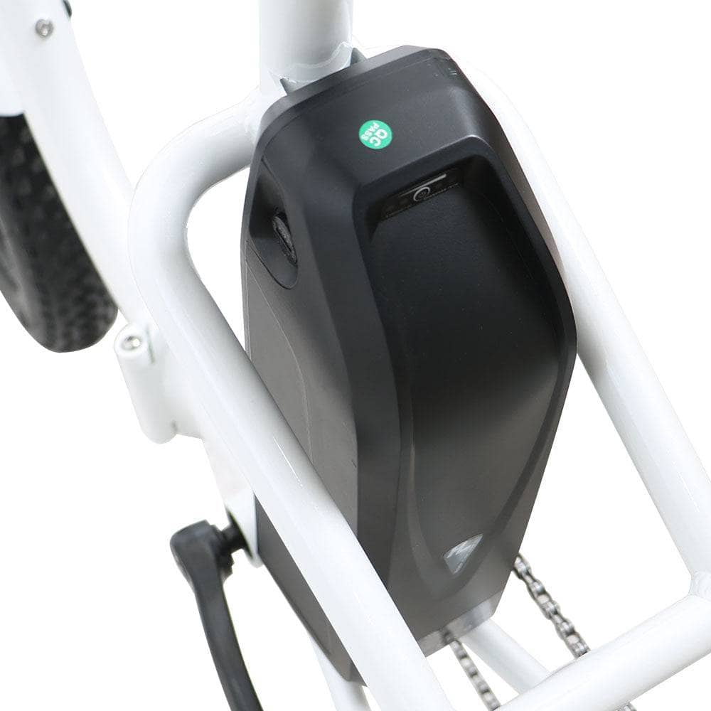 JourneyBikes.com Electric Bikes The Eunorau 20" City Model NEW TRIKE E-Bike
