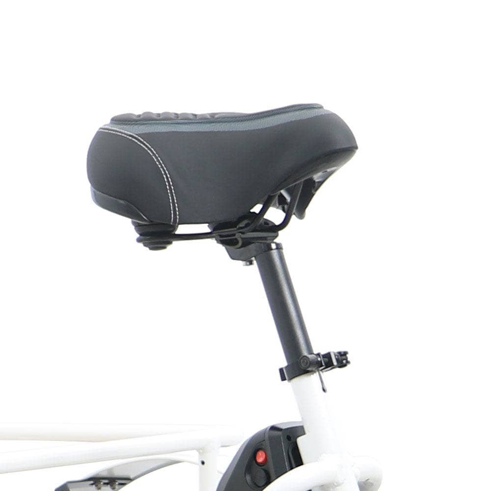 JourneyBikes.com Electric Bikes The Eunorau 20" City Model NEW TRIKE E-Bike