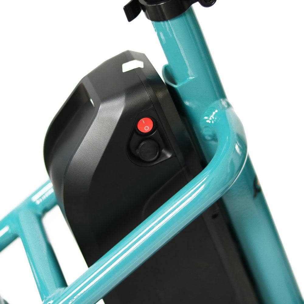 JourneyBikes.com Electric Bikes The Eunorau 20" City Model NEW TRIKE E-Bike
