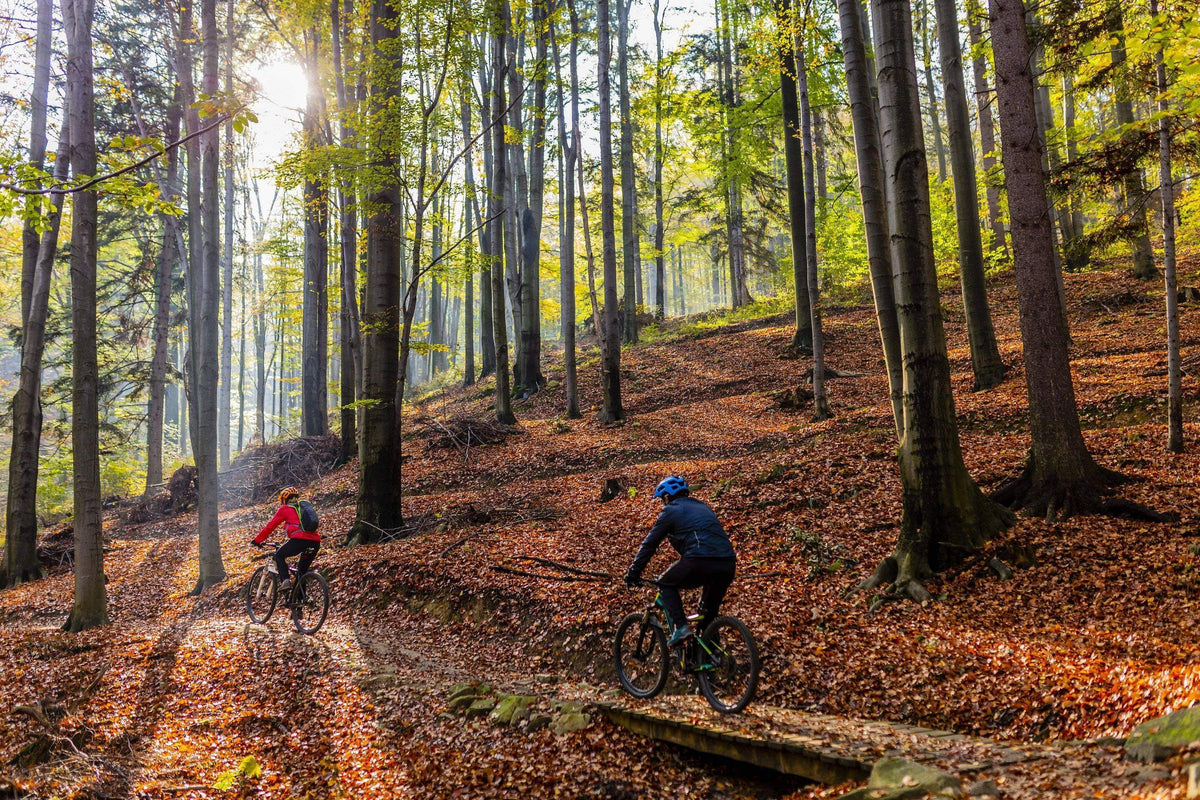 Autumn Electric Bike Riding Guide | Cold Weather Electric Bike Riding Tips