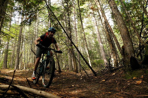 Our Full Guide To Gravel Riding and the Top 5 Gravel Tracks in the USA