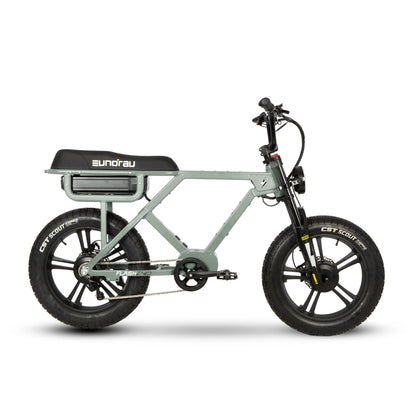 Eunorau Flash Long Range Electric Bike