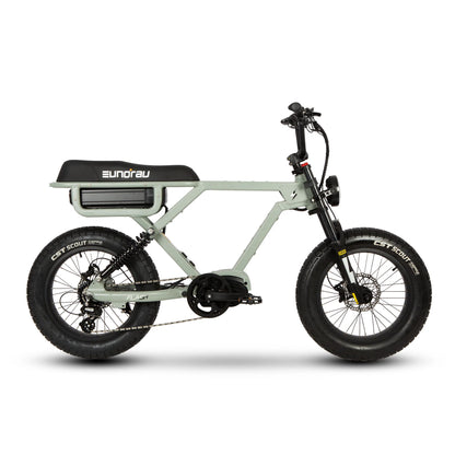 Eunorau Flash Long Range Electric Bike