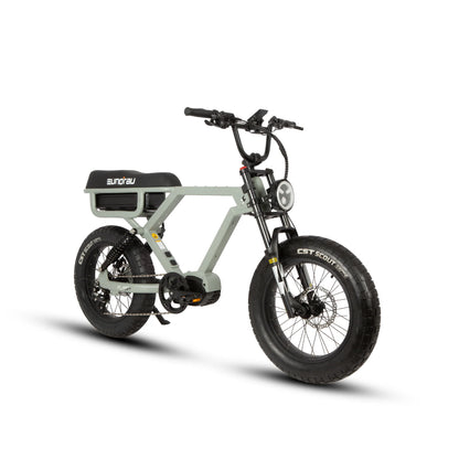 Eunorau Flash Long Range Electric Bike