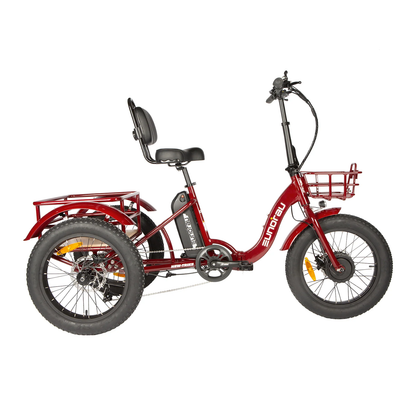 Eunorau NEW-TRIKE Electric Tricycle [48V & 40 mile range]