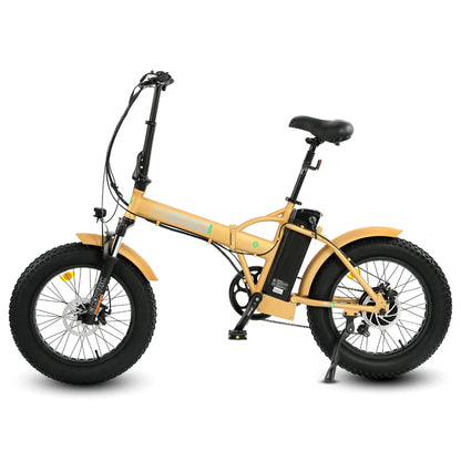 Ecotric 20" 48V 500W Fat Tire Folding Electric Bike