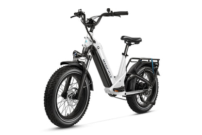Magicycle Deer Step-Thru Full Suspension 20" Ebike