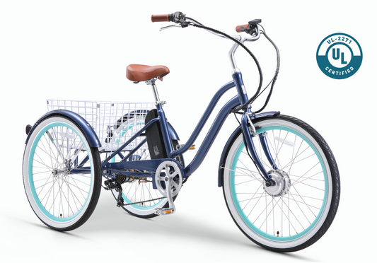 EVRYjourney Electric Trike 250W