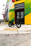 American Electric Electric Bikes American Electric Steller 2021 Step Through Fat Tire Beach Cruiser (48V 15aH 750w)