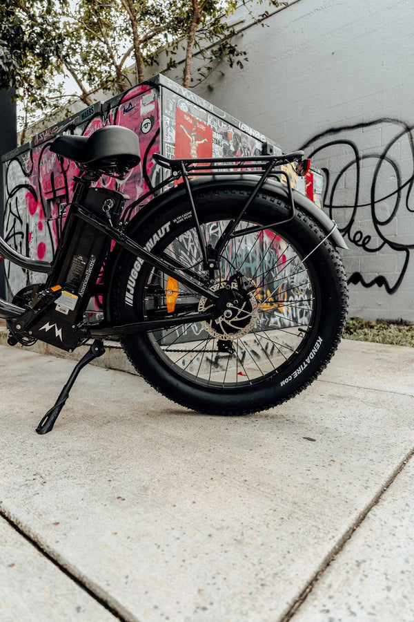 American Electric Electric Bikes American Electric Steller 2021 Step Through Fat Tire Beach Cruiser (48V 15aH 750w)
