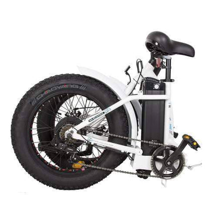 Ecotric Dolphin 20" 36V 500W Fat Tire Folding Electric Bike