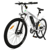 Ecotric Electric Bikes Ecotric Vortex 36V 350W Electric Bike