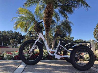 Emojo Caddy 48V 500W Fat Tire Tricycle eBike