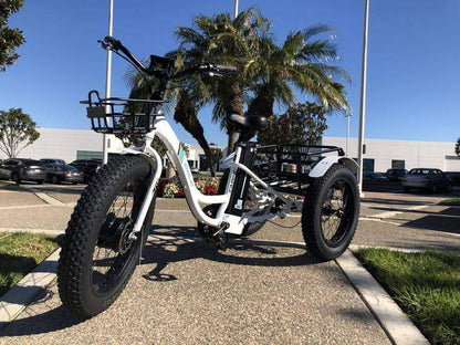 Emojo Caddy 48V 500W Fat Tire Tricycle eBike