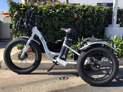 Emojo Caddy 48V 500W Fat Tire Tricycle eBike