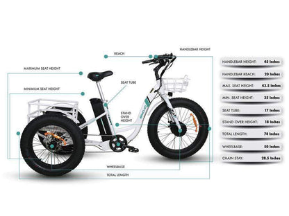 Emojo Caddy 48V 500W Fat Tire Tricycle eBike