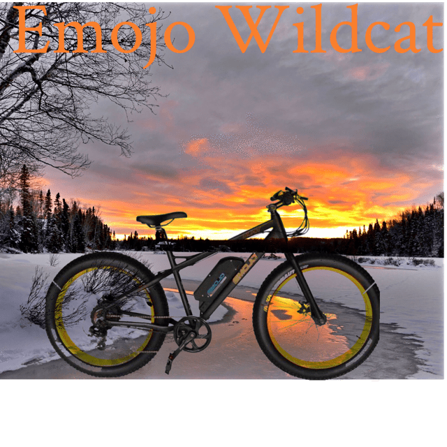 Emojo Wildcat 48V 500W Fat Tire Electric Bike