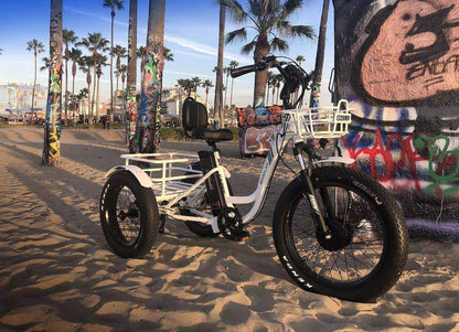 Emojo Caddy Pro 48V 500W Fat Tire Tricycle eBike