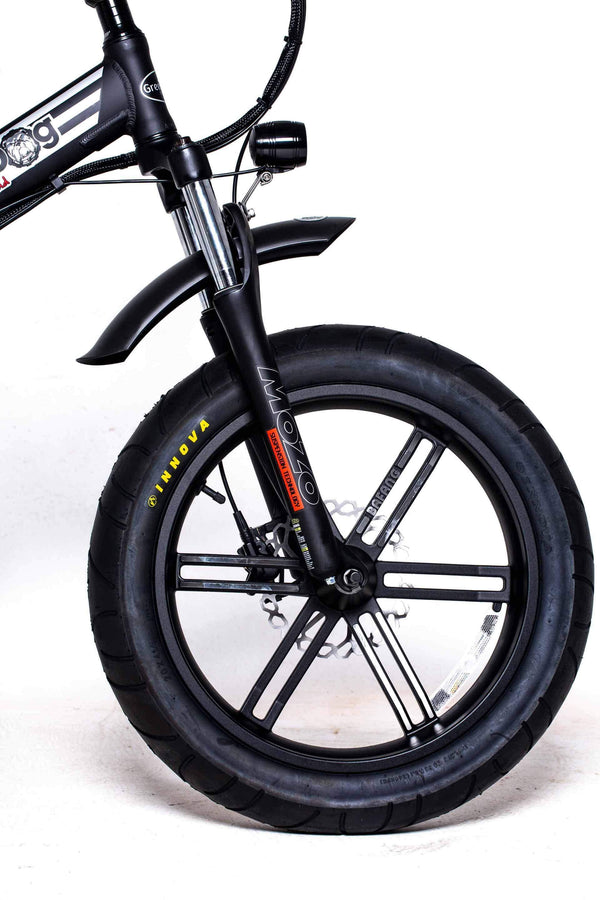GreenBike Big Dog Off-Road 48V 750W