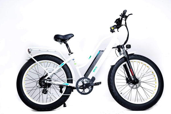 GreenBike EM26 48V 750W 26