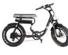 GreenBike Mule 500W 48V 12.8 Ah 2-Seater Electric Fat Tire Bike