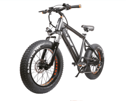 Nakto Electric Bikes 20" / Black Nakto Discovery 48V 20" Fat Tire Electric Bike