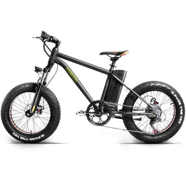 Nakto Mini Cruiser 36V 20" Fat Tire Electric Bike