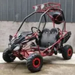 DongFang 125cc Kids Go Karts Type-GTS - Image 3
