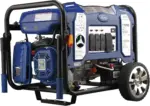 Ford 11,050 Watt Dual Fuel Portables Generators FG11050PBE - Image 3