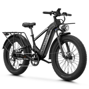Aipas M2 Xterrain Ebike Aipas-M2-black Baskets.