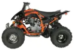 Vitaccii Pentora Racing ATV - Image 3