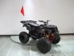 Rps 200cc Utiliity 169 cc ATV