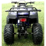 Rps 200cc Utiliity 169 cc ATV - Image 2
