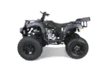 Taotao 250 Rhiino Adult Utility ATV - Image 3