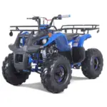 TaoTao T-Force T125 4-Wheeler All-Terraiin Vehicle ATV